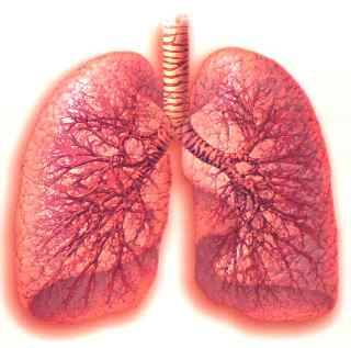 Trapianto di polmoni_